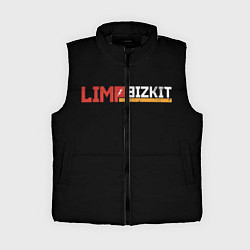 Женский жилет Limp Bizkit, цвет: 3D-черный