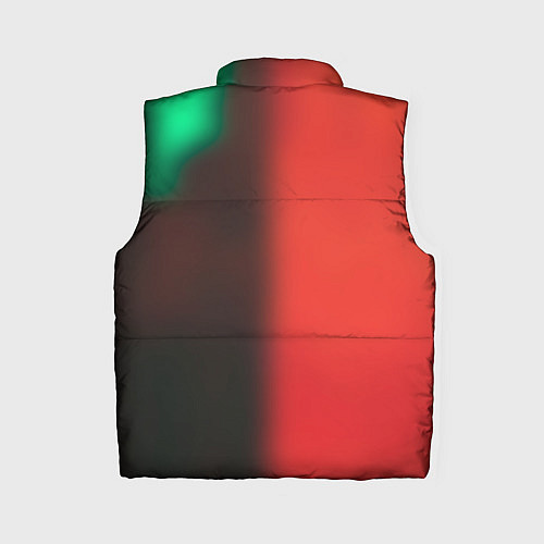 Женский жилет Dolphin Pain / 3D-Светло-серый – фото 2