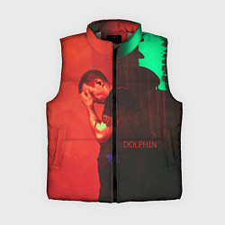 Женский жилет Dolphin Pain, цвет: 3D-светло-серый