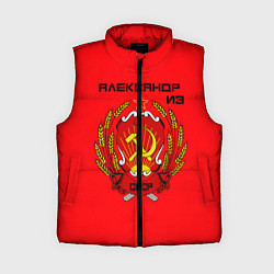 Женский жилет Александр из СССР, цвет: 3D-красный