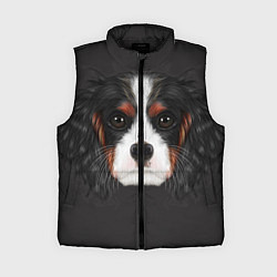Женский жилет Cavalier King Charles