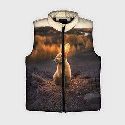 Женский жилет Солнечный зайчик, цвет: 3D-черный