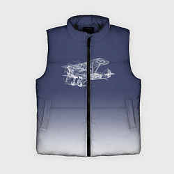 Женский жилет Биплан, цвет: 3D-черный