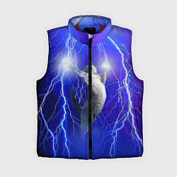 Женский жилет Грозовой кошак, цвет: 3D-красный