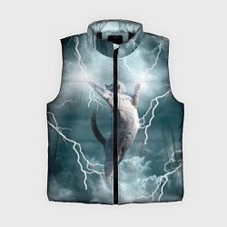 Женский жилет Грозовой кошак