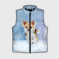 Женский жилет Чихуахуа в снегу, цвет: 3D-черный
