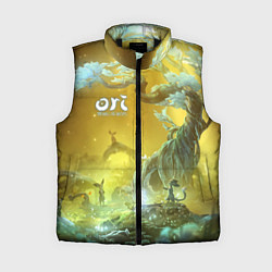 Женский жилет Ori Ori and the Will of the Wisps, цвет: 3D-черный