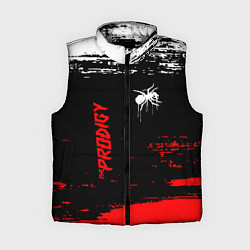 Женский жилет The prodigy : дарование