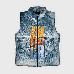 Женский жилет IN COLD logo with ice, цвет: 3D-светло-серый