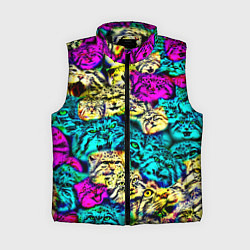 Женский жилет Психоделические манулы, цвет: 3D-черный