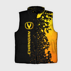 Женский жилет Changan - gold gradient: по-вертикали