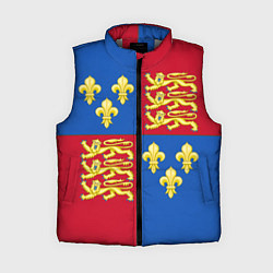 Женский жилет Рыцарское сюрко Ричарда Львиное Сердце, цвет: 3D-светло-серый