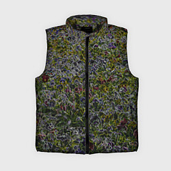 Женский жилет Абстрактные разноцветные контуры