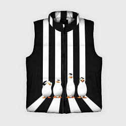 Женский жилет Четыре пингвина, цвет: 3D-светло-серый