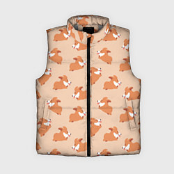 Женский жилет Паттерн с забавными щенками породы корги