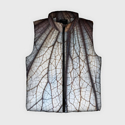 Женский жилет Прожилки растения