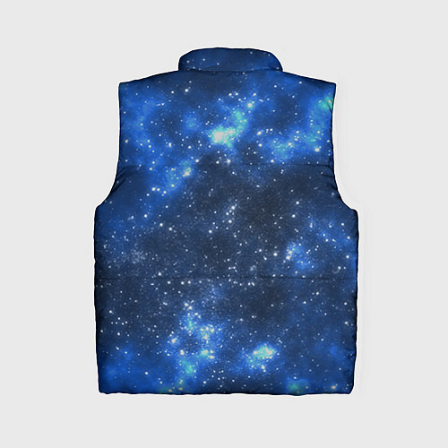 Женский жилет Космический попугай / 3D-Светло-серый – фото 2
