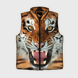 Женский жилет Взгляд тигра, цвет: 3D-светло-серый