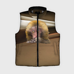 Женский жилет Мартышка, цвет: 3D-светло-серый