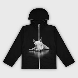 Ветровка с капюшоном женская Puppy, цвет: 3D-белый