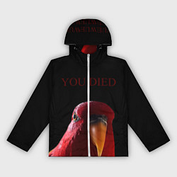 Женская ветровка Красный попугай Red parrot