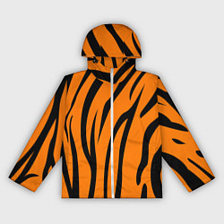 Женская ветровка Текстура тиграtiger