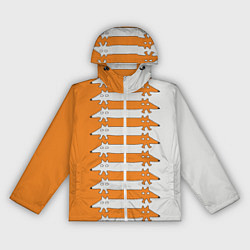 Женская ветровка Лисицы Foxes