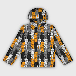 Ветровка с капюшоном женская Злой Кот мем, цвет: 3D-черный
