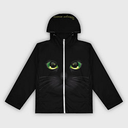 Женская ветровка Черную кошку совсем не интересует