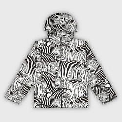 Женская ветровка Зебры и тигры