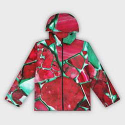 Ветровка с капюшоном женская Зеленый минерал в красном камне, цвет: 3D-черный