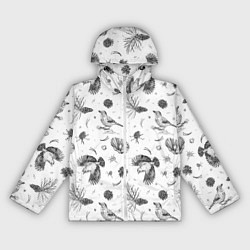 Женская ветровка Сойка в Бузулукском бору